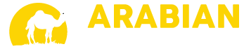 logo.png